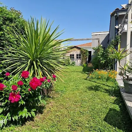 Bosquet - Ci - Maison Familiale Piscine Jardin * Tournefeuille