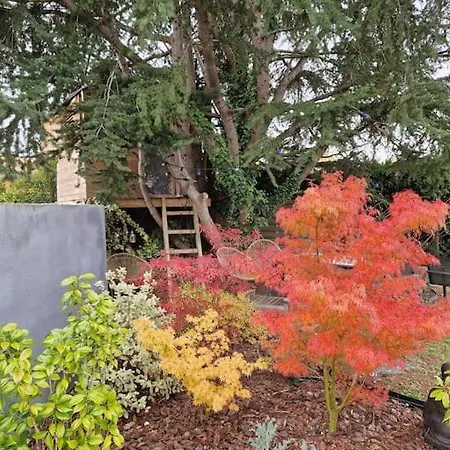 Villa Bosquet - Ci - Maison Familiale Piscine Jardin
